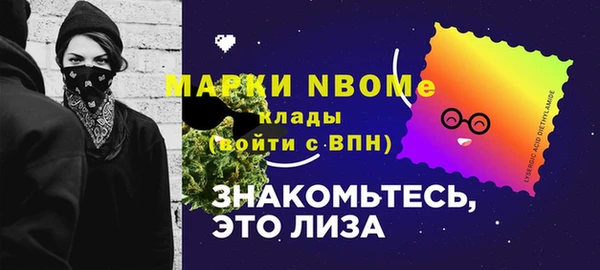 индика Верея