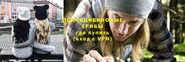 СК Козловка