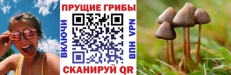 Галлюциногенные грибы мицелий  что такое наркотик  Касимов 